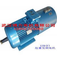 上海变频电机 YZP200L-4;30KW 三相异步电机