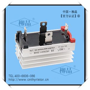 LIUJING ʽŶQLF2010 QLF20A1000Vɢ