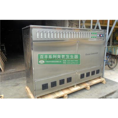工业适用BF-YE-500g氧气源臭氧发生器