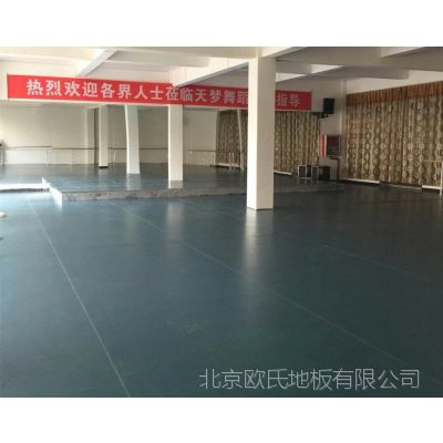 广西民族舞芭蕾舞拉丁舞中国舞专用舞蹈地胶 舞蹈教室塑胶地板