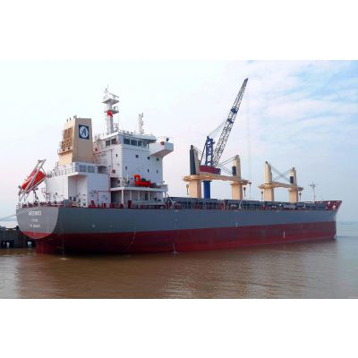 散货海运管理系统软件专业版
