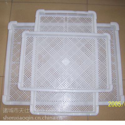 塑料单冻盘子 调理食品塑料盒 单冻盘 单冻器