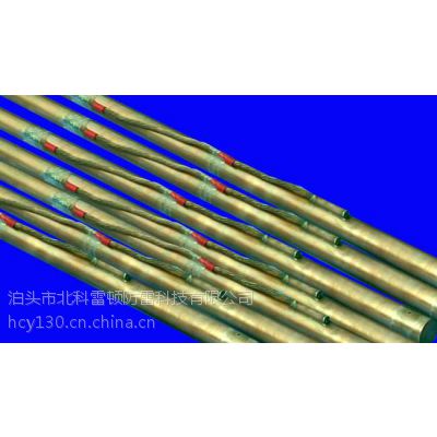 北科雷顿专业生产电解离子接地极