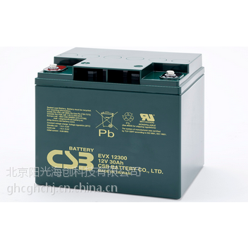 ӦCSBEVX12300綯綯ר12V30AHǾܷ