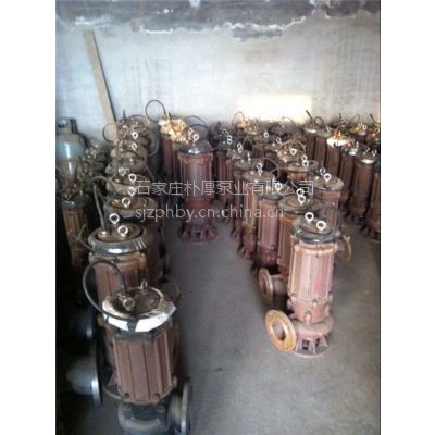300QW950-20-90Ǳˮ
