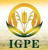 2015第六届IGPE中国国际粮食产业博览会 ------暨现代粮油机械装备展示会