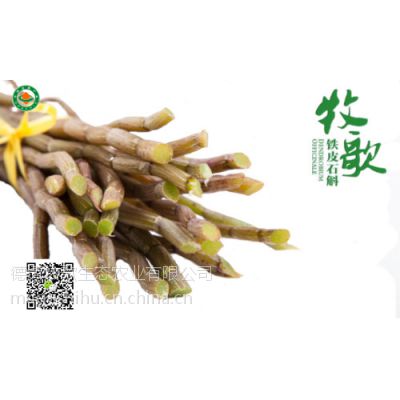 牧歌鲜活系列精巧礼盒铁皮石斛不带叶鲜条250g