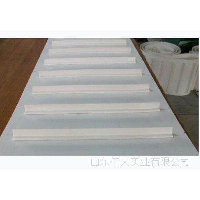 PVC膨化食品机械裙边挡板带,达利园厂家专用流水线皮带