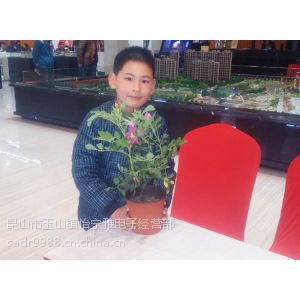 żҸDiy̦޺΢DiyTDiy3DģDiyӳ