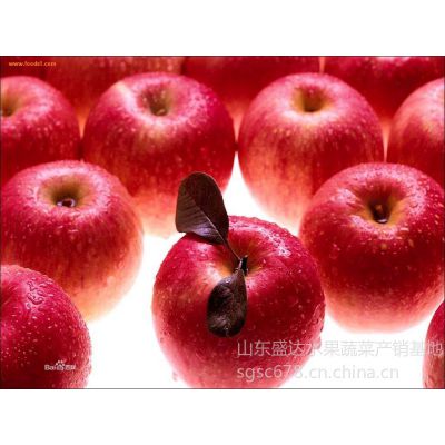 Ӧɽ츻ʿƻ۸