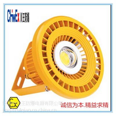 厂家直销BLED9107免维护10-120W（LED)防爆灯 -防爆灯