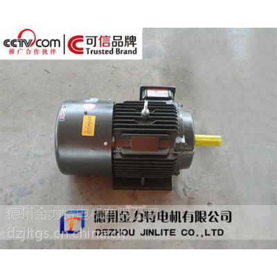 变频电动机生产兼售,西安变频电动机,金力特(在线咨询)