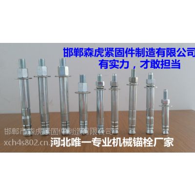 森虎后扩底机械锚栓高强度8.8级扩底型机械锚栓厂家