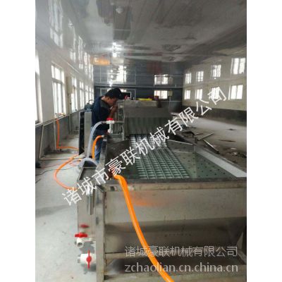 供应豪联牌HLXD-6型全自动洗蛋机鸡鸭蛋高效洁净破蛋率极低