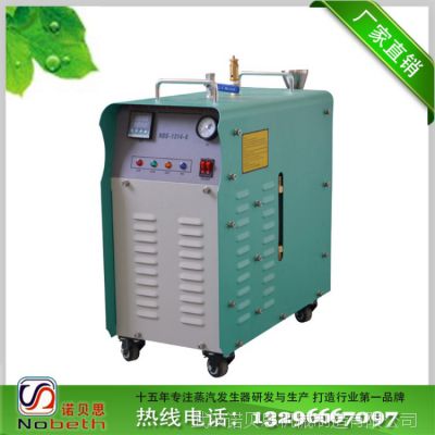 小型电热蒸汽锅炉公司厂家销售NBS-1314电热锅炉 蒸汽锅炉24kw6kw