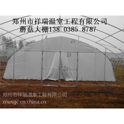 濮阳专业食用菌温室大棚承建商