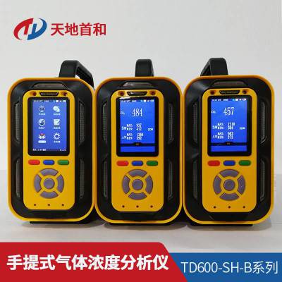 内置泵吸式氟化氢分析仪TD6000-SH-HF气体检测仪|中文或英文界面