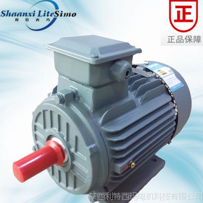 YE2 ЧYE2-132S-6 3KW 380V