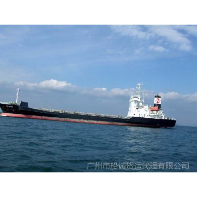 天津塘沽到湛江的海运集装箱公司