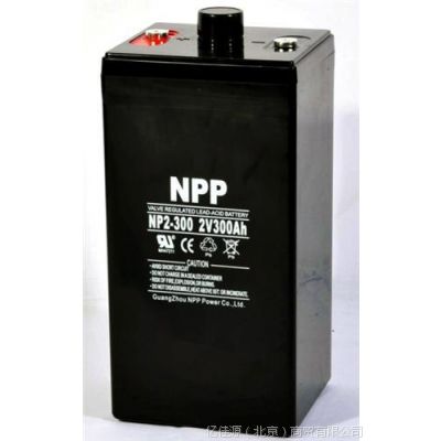 NP2-2000̫upsEPSǦά2V2000AHԭװƷ