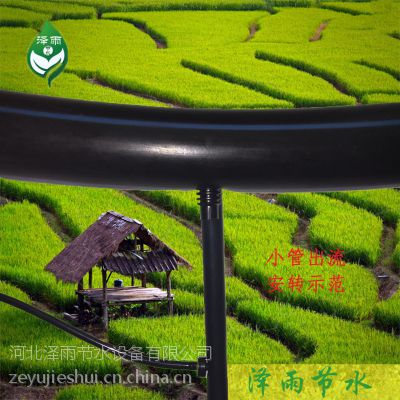 上海市宝山区精品滴灌管生产厂家苹果种植套种滴灌设计指导