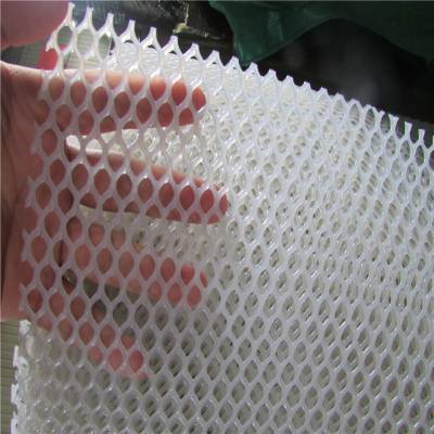 养殖塑料平网 路基网 宽幅塑料网