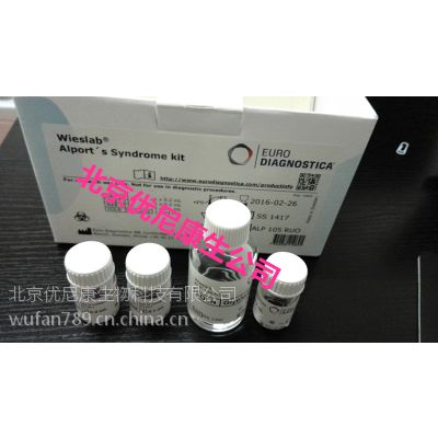 ALP105 综合症检测试剂盒WIESLAB®Alport\'s Syndrome kit