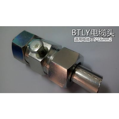  BTLYʵͷ BTLY¸