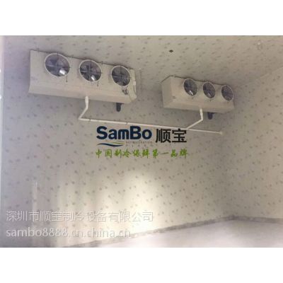 ˳Samboרҵ⹤