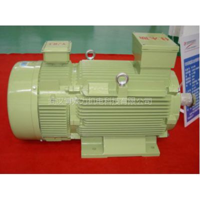 Ӧľ˹YZR3-180L-8-11KWؼұתӵ