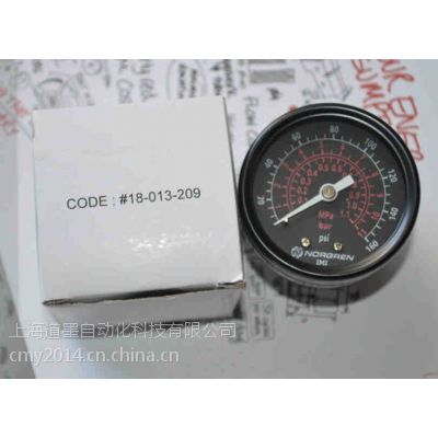 NORGREN/诺冠 18-013-010 压力表 18-013系列 压力表18-013-856