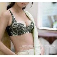 供應(yīng)深圳LDP出口美國LDP海運到門