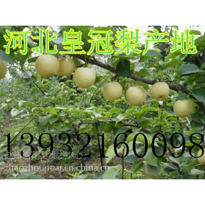 ӱʹ桢ӱƹ桢ӱѩ桢ӱѩ桢ӱˮ