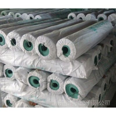 PVCܶ1.60 ɫɫһ50kg-65kg18769618550