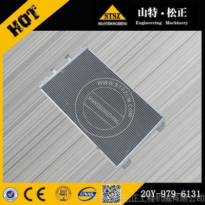 ɽԭװ20Y-979-6131 ***ھԹļ
