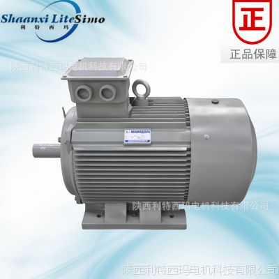YE3 ЧʵYE3-132S-6 3KW 380v