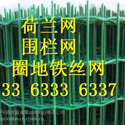 河北省绿色浸塑圈地铁丝网护栏网的生产厂家