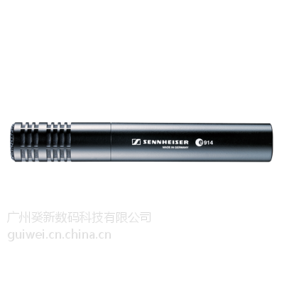 SENNHEISER/ɭ E914ʽ¼רָ˷绰Ͳ
