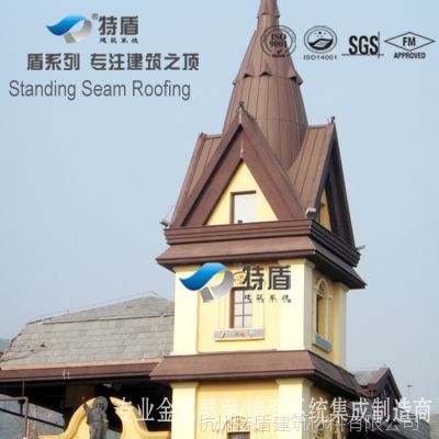 杭州特盾专注建筑之顶　铜板屋面墙面系统设计制作安装