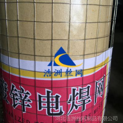 浩洲销售钢丝焊接网片 小丝0.5mm抹墙电焊网 建筑保温镀锌电焊网