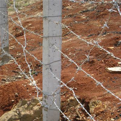 旺来铁丝网护栏网刺铁丝铁丝刺线