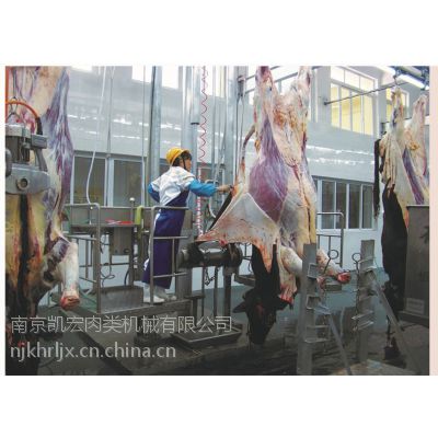 ţ豸 豸 ָ豸 ˮ