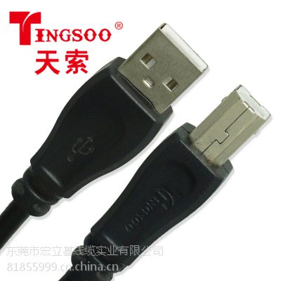 TINGSOO/����usb 2.0������196R����ɨ���Ǵ�ӡ���߳���ֱ��