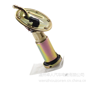 供应电动燃油泵总成 适用车型：大宇