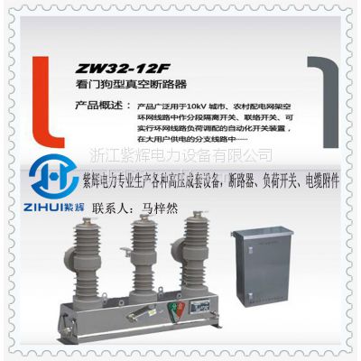 ʡϻZW32-12ֶն·