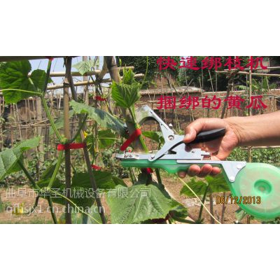 黄瓜番茄圣女果 越冬季节大棚种植温室型绑枝机设备