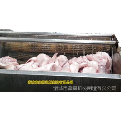 鑫勇XY-12自动猪头猪蹄清洗机 毛辊清洗设备