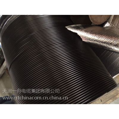 רҵ***OPGW-80-24B1± OPGW ADSSӦ