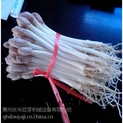 ȫԶ***ѿѿӼ۸컪ѿ