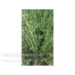 繩Ӧ_ݺ